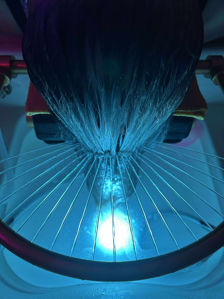 INSTITUT 1.jpg (80 KB)