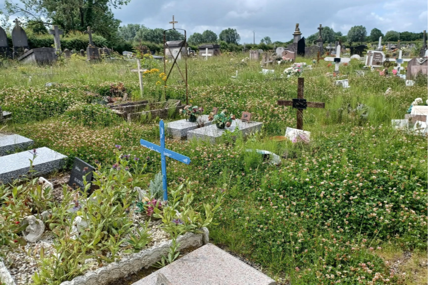 Avesnes-sur-Helpe : l’état du cimetière fait la Une des journaux régionaux.